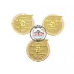 Pins de Reconhecimento - Pins em metal no relevo, banho dourado e cor esmaltada, com pedras de strass. Fbrica de pins multinvel. Pins personalizados para campanha promocional e eventos de reconhecimento. Pins multinvel. Marketing multinvel. Broches de reconhecimento.