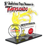 Trofu para Campeonato de Taekwondo - Trofu para Campeonato de Taekwondo em acrlico cristal com impresso digital U.V. em base de acrlico preto.