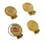 Pins Reconhecimento - Pins reconhecimento. Pin em relevo dourado. Pin para reconhecimento por tempo de trabalho. Pin com strass. Pin de lapela.