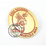 Pin de Reconhecimento - Pin de Reconhecimento. Pin em metal no relevo. Pin dourado. Pin com strass. Pins personalizados. Pin de lapela.