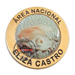Pins de Reconheicmento - Pins de reconhecimento. Pin promocional. Pin em metal no relevo. Pin com adesivo resinado. Pins dourado. Pin de lapela.