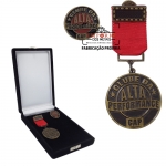 Conjunto de medalha - Conjunto de medalha. Medalha + pin no estojo de veludo. Medalha de peito em metal com banho bronzeado. Medalha personalizada.